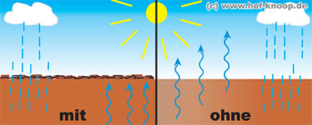 Schaugrafik: Hackschnitzel schützt den Boden vor Austrocknung durch Sonneneinstrahlung